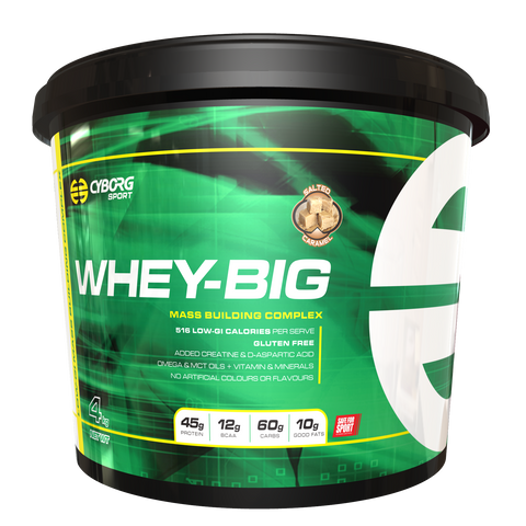 Cyborg - Whey Big Mass Gainer